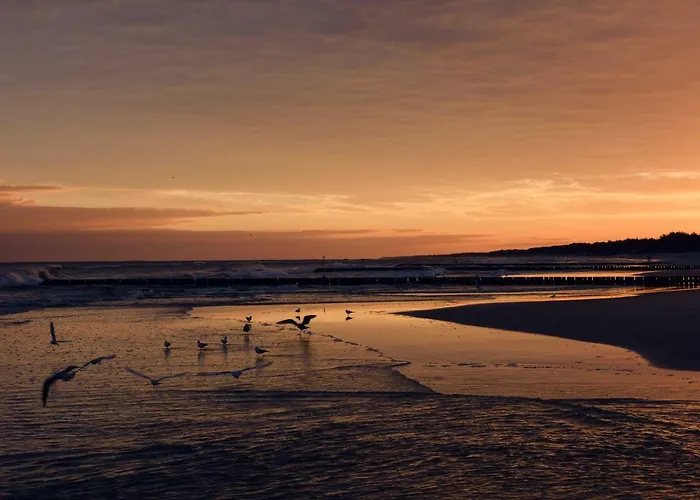 Diago Апартаменты *